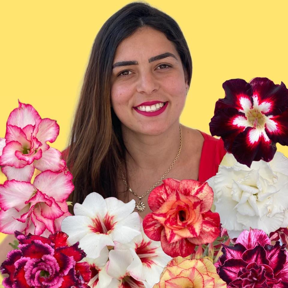 Rutty Rosas do Deserto